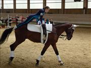 voltitag 2009 _CD1 057